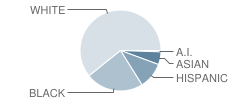 Wesley School Student Race Distribution