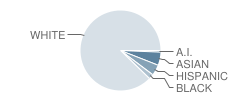 Calf Pen Meadow School Student Race Distribution