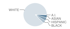 Joseph A. Foran High School Student Race Distribution