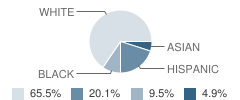 Central Avenue School Student Race Distribution