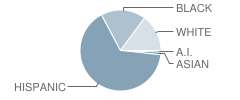 Northend School Student Race Distribution