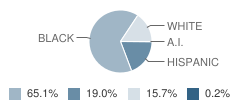 Barnard Environmental Magnet School Student Race Distribution