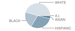 Norwalk High School Student Race Distribution