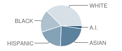 Thomas W. Mahan School Student Race Distribution