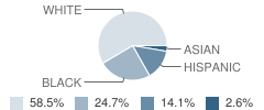 Stratford Academy Student Race Distribution