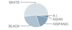 Lordship School Student Race Distribution