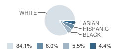 Trumbull High School Student Race Distribution