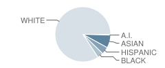 Oswegatchie Elementary School Student Race Distribution