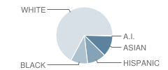 King Philip Middle School Student Race Distribution