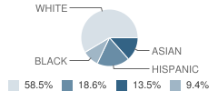 Webster Hill School Student Race Distribution