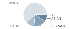 Whiting Lane School Student Race Distribution