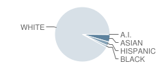 Coleytown Middle School Student Race Distribution