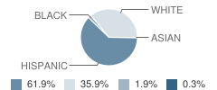 Windham Center School Student Race Distribution