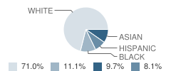 North Street School Student Race Distribution