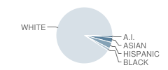 Woodstock Middle School Student Race Distribution