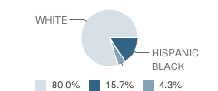 Quinebaug Valley Middle College High School Student Race Distribution