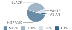 Strong School Kg Student Race Distribution