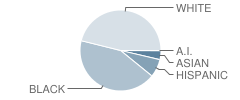 Southern Elementary School Student Race Distribution