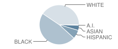 Bedford (Gunning) Middle School Student Race Distribution