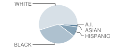 Dunbar (Paul Laurence) Elementary School Student Race Distribution