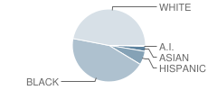 Douglass (Frederick) Elementary School Student Race Distribution