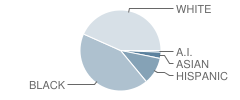 West Seaford Elementary School Student Race Distribution