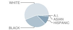 Wheatley (Phillis) Middle School Student Race Distribution