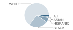 Sunnyside Elementary School Student Race Distribution