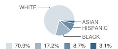 Swimming Pen Creek Elementary School Student Race Distribution