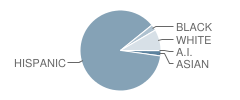 John A. Ferguson High School Student Race Distribution