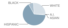 Shields Middle School Student Race Distribution