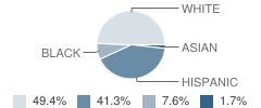 Rayma C Page Elementary School Student Race Distribution