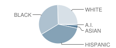 Tradewinds Middle School Student Race Distribution