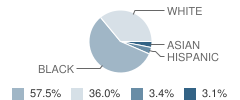 Doug Jamerson Elementary School Student Race Distribution