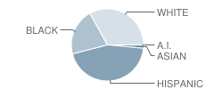 Ridge Community High School Student Race Distribution