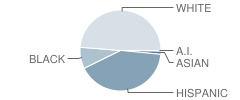 Spirit Elementary School Student Race Distribution