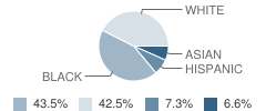 Stephen Foster Elementary School Student Race Distribution