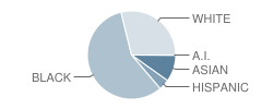 Eastside High School Student Race Distribution