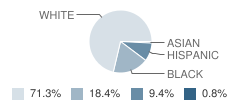 Newberry Elementary School Student Race Distribution