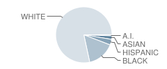 Mowat Middle School Student Race Distribution