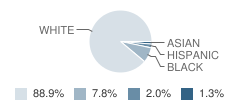 Hampton Elementary School Student Race Distribution