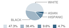 University Park Elementary School Student Race Distribution