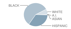 Riverland Elementary School Student Race Distribution