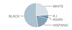 Bennett Elementary School Student Race Distribution