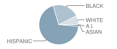 Meadowbrook Elementary School Student Race Distribution