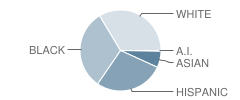 Margate Elementary School Student Race Distribution