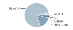 Miramar High School Student Race Distribution