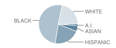 Horizon Elementary School Student Race Distribution