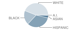 J. P. Taravella High School Student Race Distribution