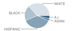 Quiet Waters Elementary School Student Race Distribution